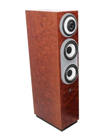 Cabasse Pacific Evolution 600 Evo