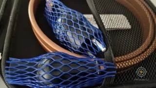 Wireworld