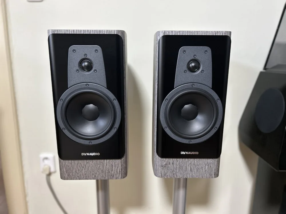 Dynaudo Contour 20i (nordic silver)