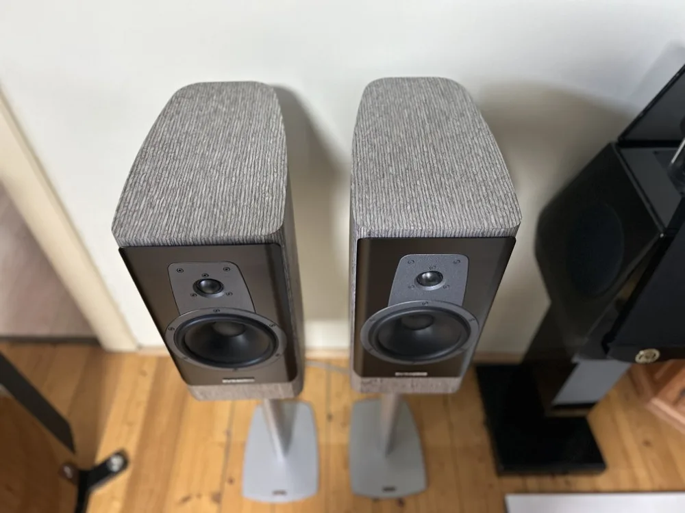 Dynaudo Contour 20i (nordic silver)