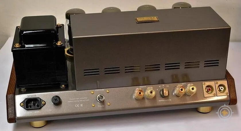 LEBEN CS 1000P Valve amplifier
