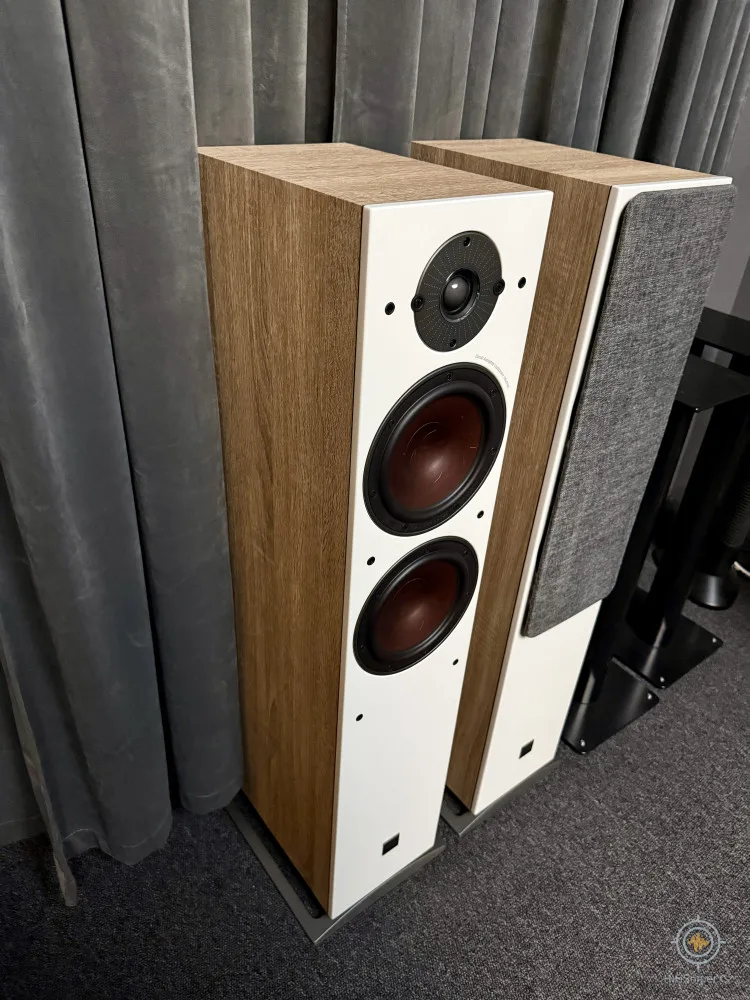 Dali Oberon 7