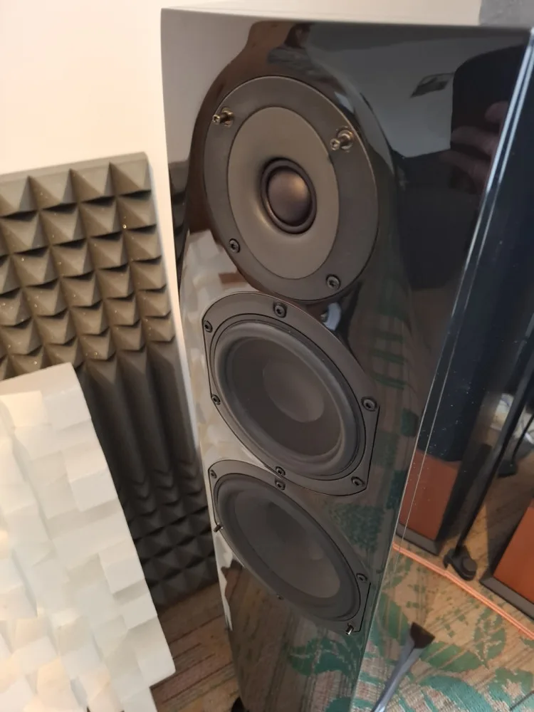 phonar veritas p5 classic cerne