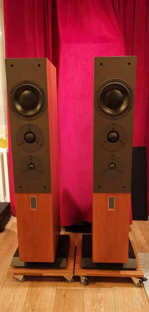 Dynaudio confidence c5