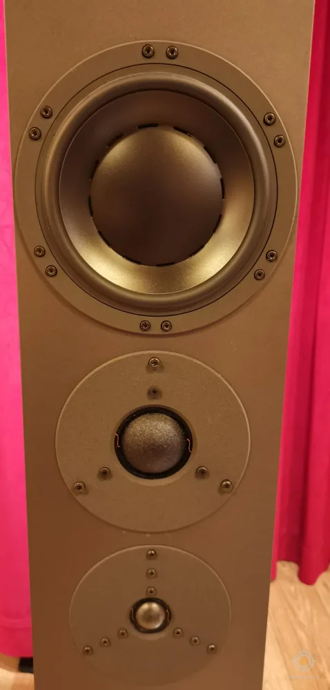 Dynaudio confidence c5