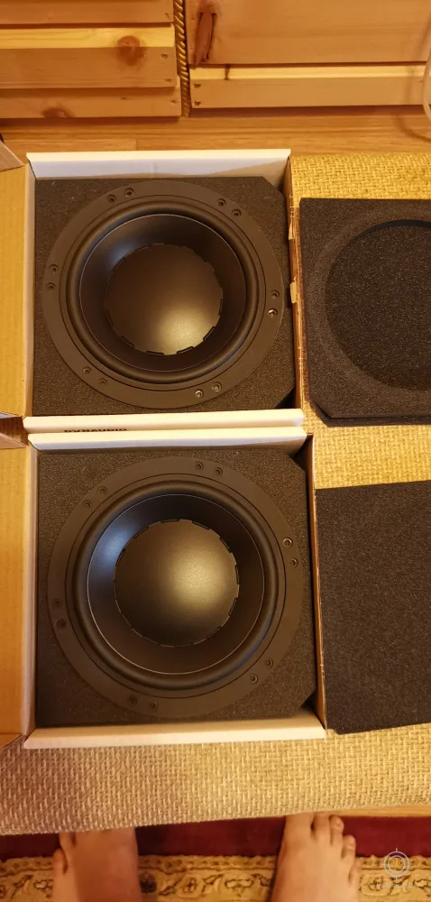 Dynaudio Basový hlavní 85800 confidence 5